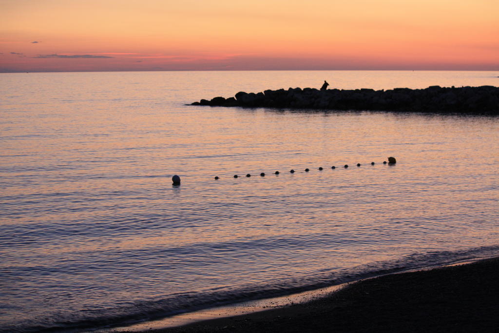 Lungomare Hotel Marina di Cecina Extérieur photo